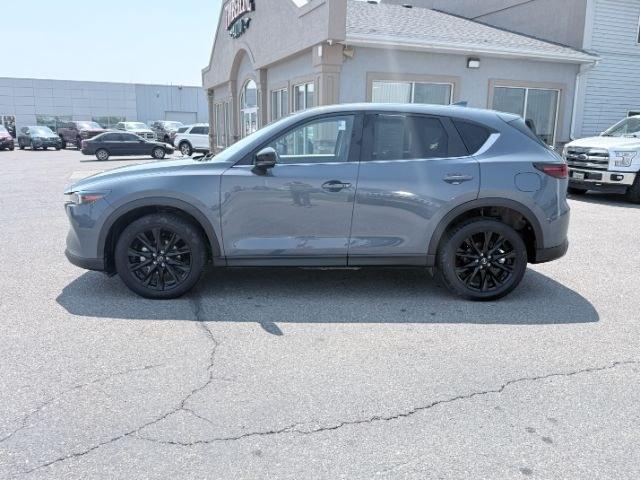 2024 BLUE /LEATHER Mazda CX-5 PREFERRED (JM3KFBCLXR0) with an 2.5L I4 engine, AUTOMATIC transmission, located at 1235 N Woodruff Ave., Idaho Falls, 83401, (208) 523-1053, 43.507172, -112.000488 - At Timberline Auto, finding a great deal on your next vehicle is always easy! Our experienced sales staff goal is to help find you the right vehicle at the right price! Our knowledgeable finance department has options for almost any credit score. We offer extended service contract options to prot- Photo#32