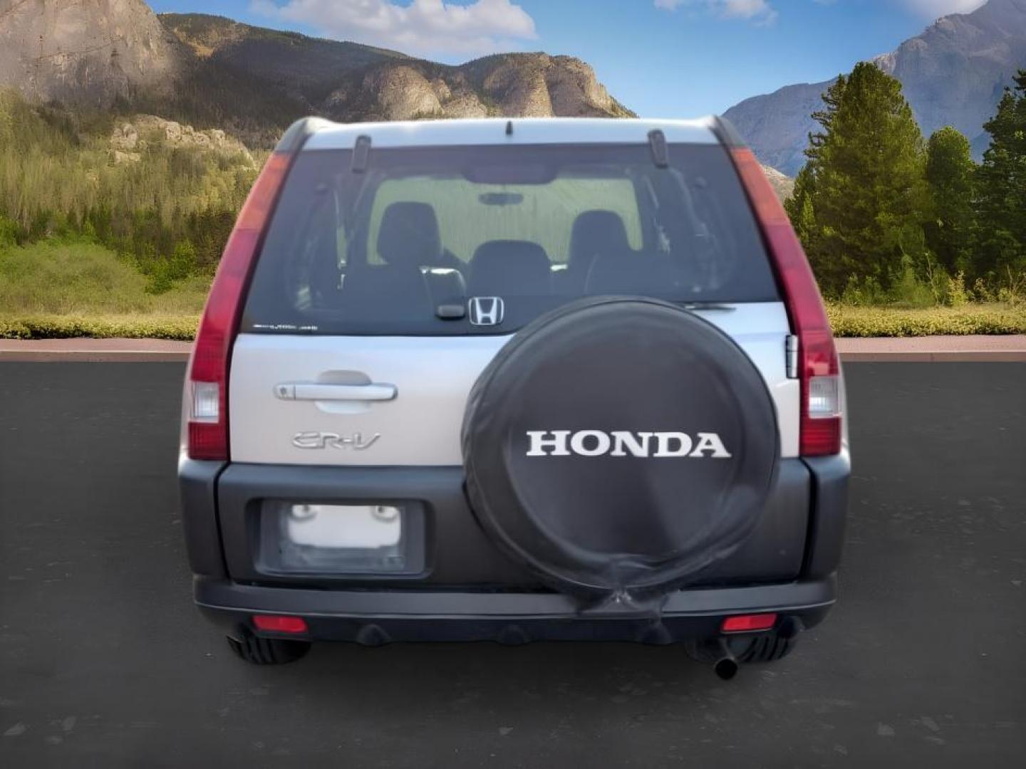 2004 SILVER /Black Honda CR-V (JHLRD78844C) with an 24L I-4 DOHC engine, Automatic transmission, located at 1175 N Woodruff Ave, Idaho Falls, ID, 83401, 43.506901, -111.999657 - At Timberline Auto, finding a great deal on your next vehicle is always easy! Our experienced sales staff goal is to help find you the right vehicle at the right price! Our knowledgeable finance department has options for almost any credit score. We offer extended service contract options to prot- Photo#3