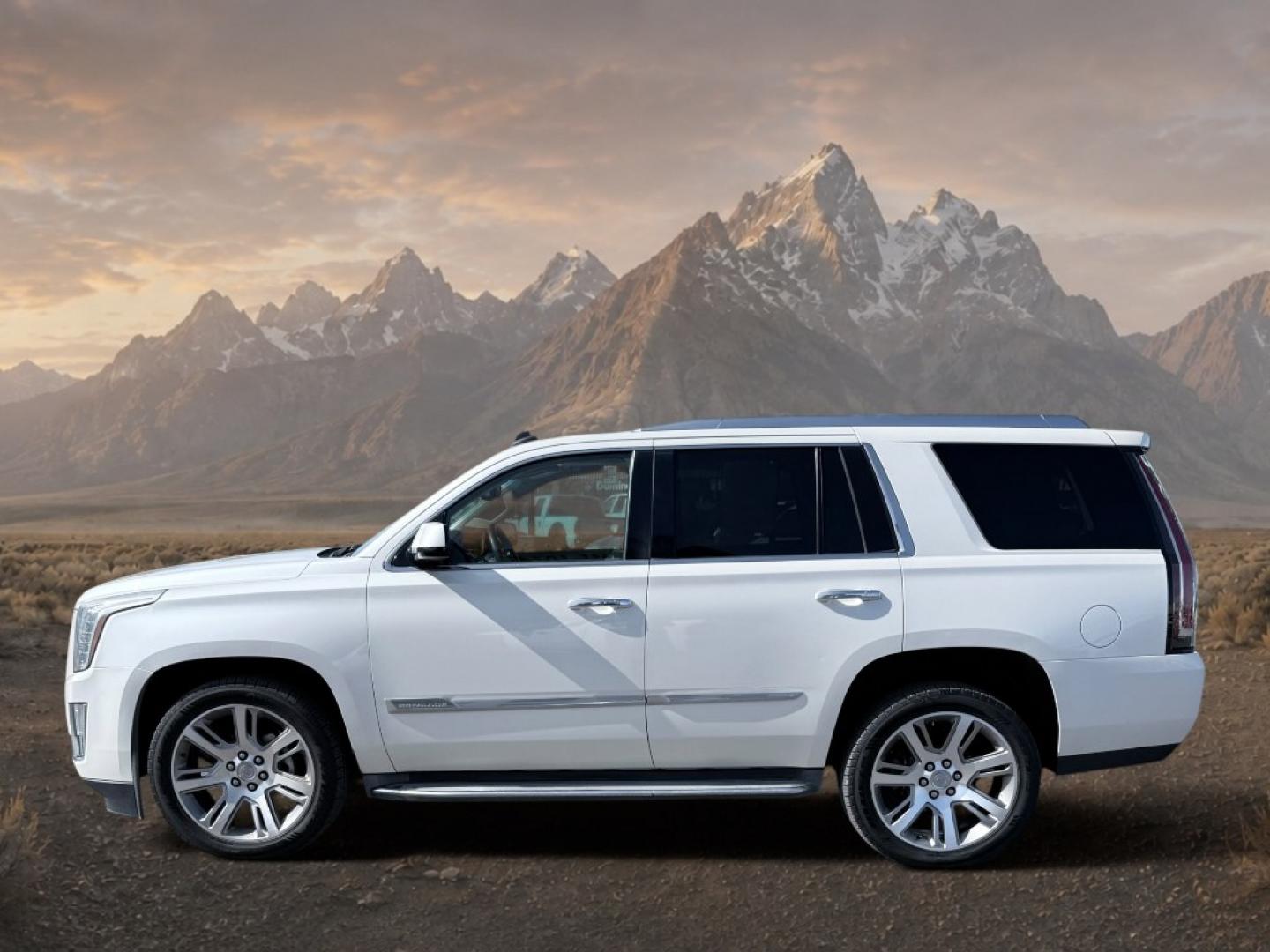 2015 White Diamond Tricoat /Jet Black Cadillac Escalade Luxury (1GYS4BKJ6FR) with an V8, 6.2L engine, 8-speed automatic transmission, located at 1175 N Woodruff Ave, Idaho Falls, ID, 83401, 43.506901, -111.999657- Photo#1