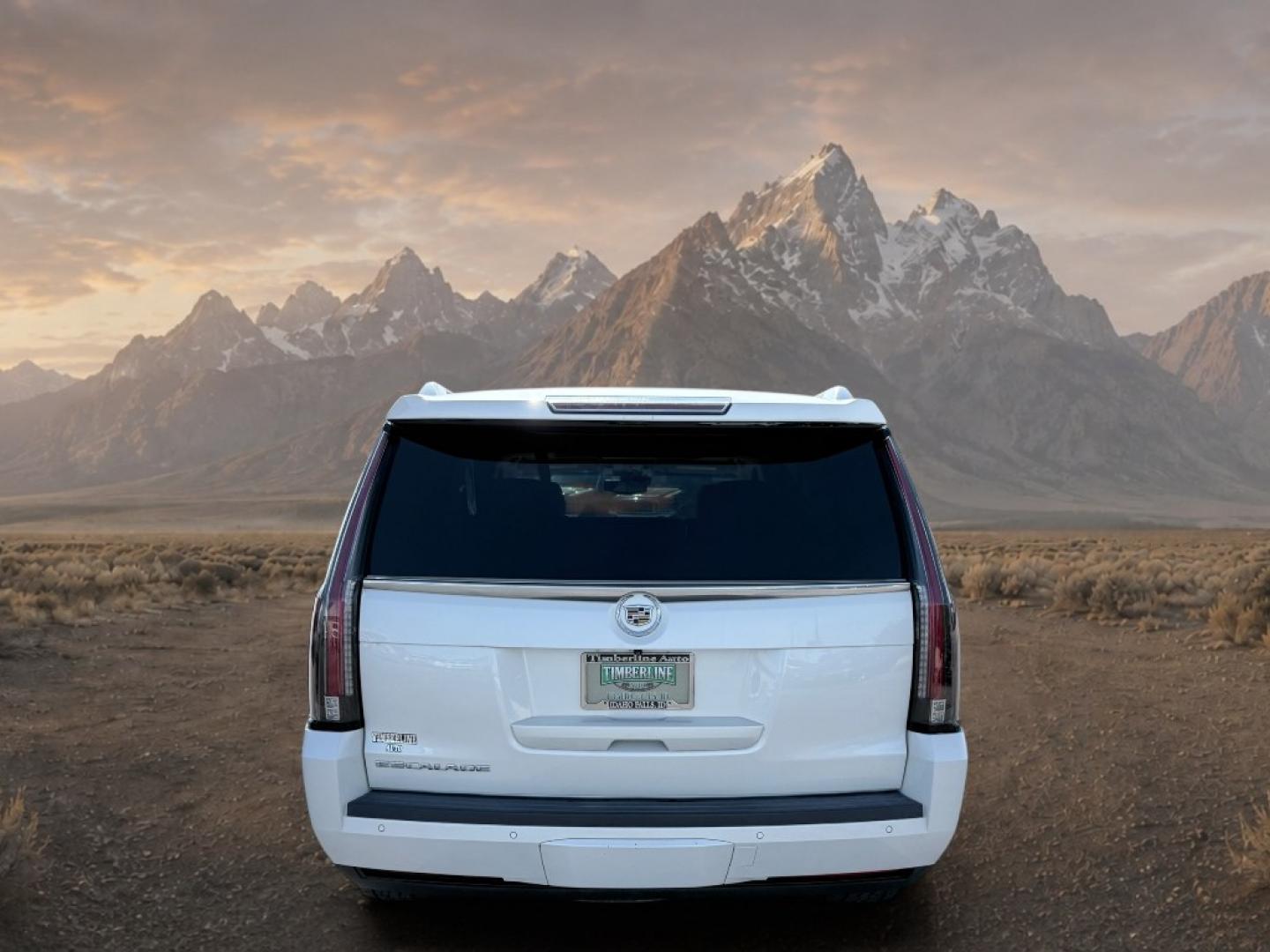 2015 White Diamond Tricoat /Jet Black Cadillac Escalade Luxury (1GYS4BKJ6FR) with an V8, 6.2L engine, 8-speed automatic transmission, located at 1175 N Woodruff Ave, Idaho Falls, ID, 83401, 43.506901, -111.999657- Photo#3