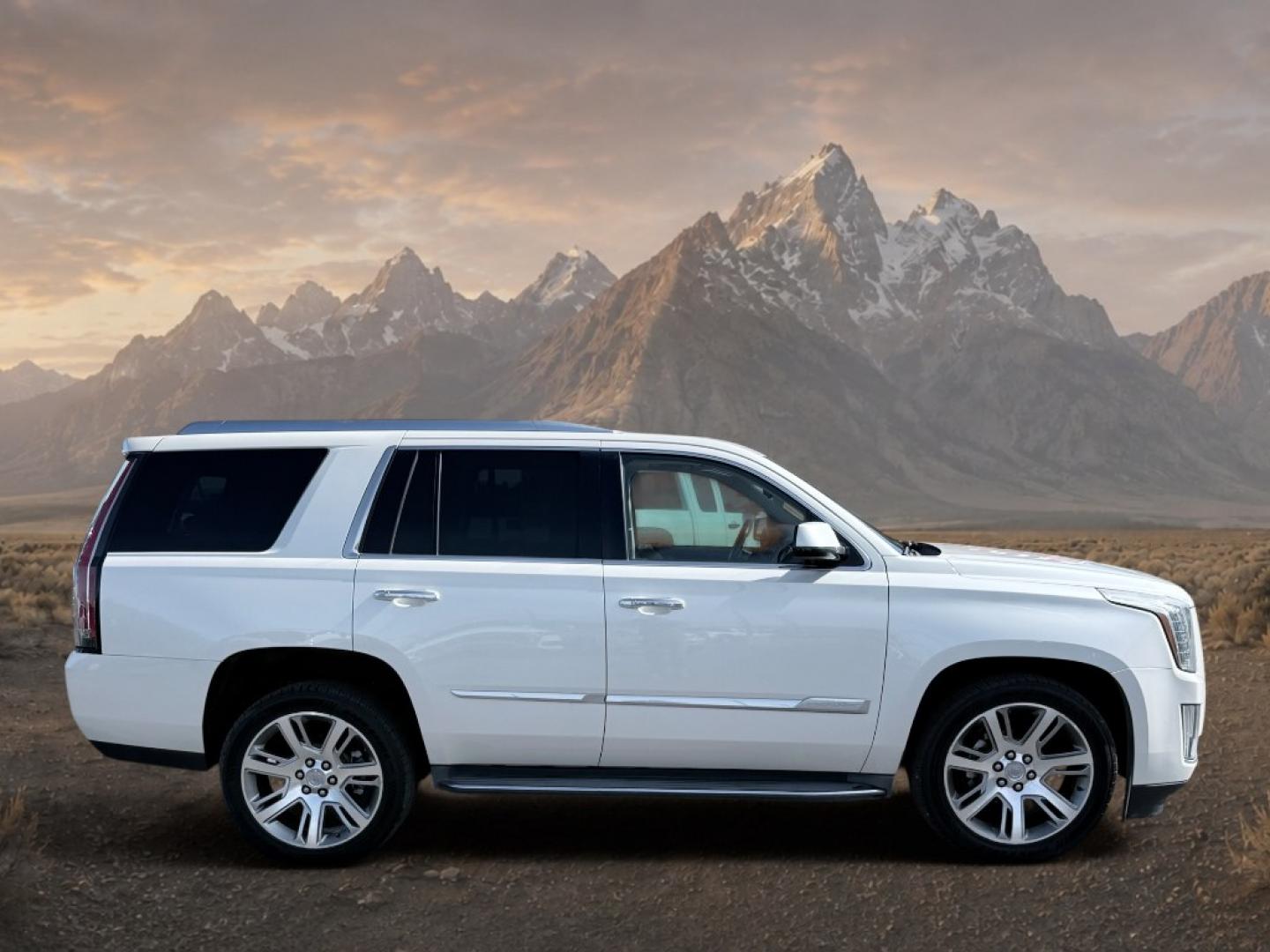 2015 White Diamond Tricoat /Jet Black Cadillac Escalade Luxury (1GYS4BKJ6FR) with an V8, 6.2L engine, 8-speed automatic transmission, located at 1175 N Woodruff Ave, Idaho Falls, ID, 83401, 43.506901, -111.999657- Photo#10