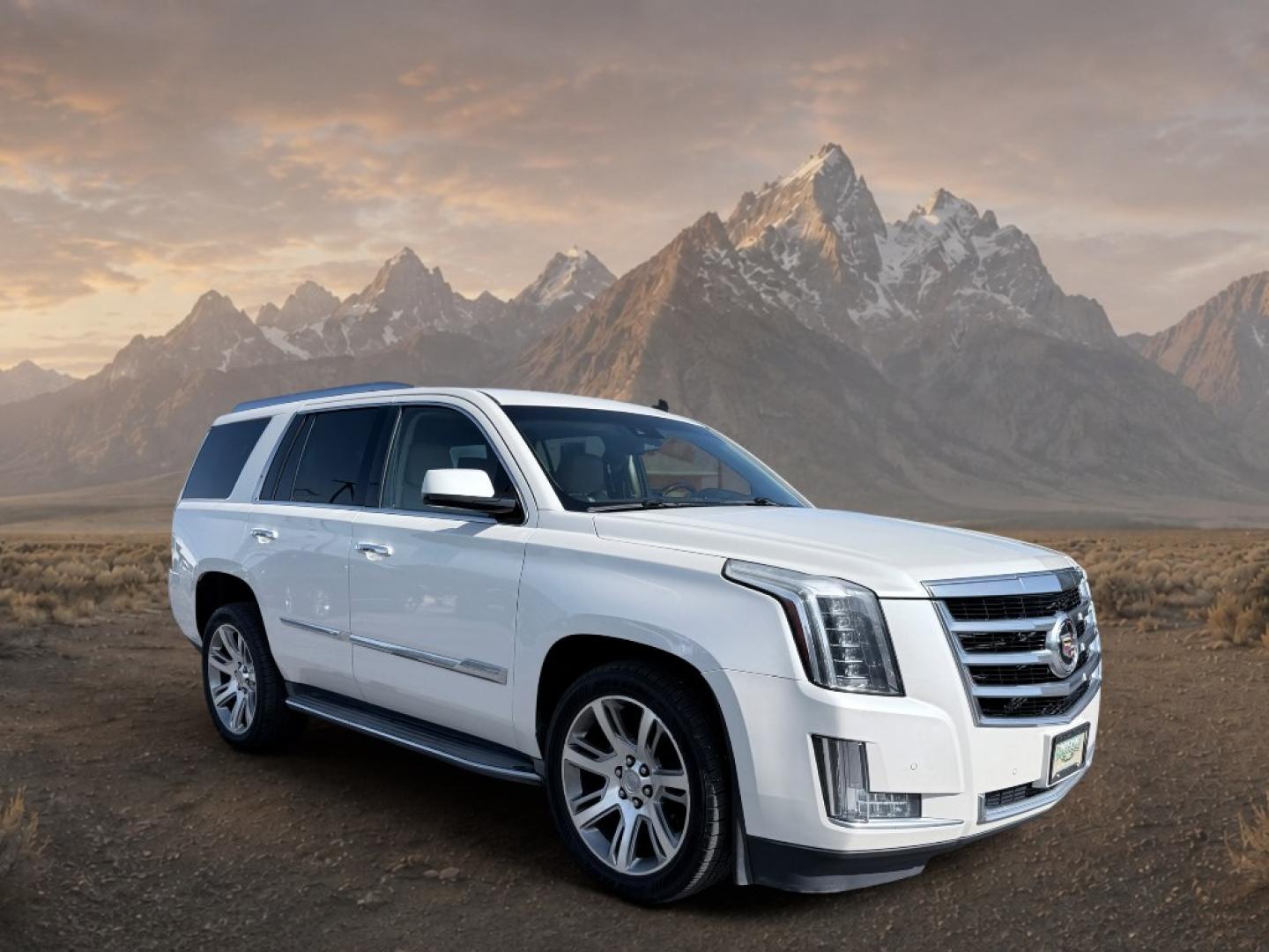 2015 White Diamond Tricoat /Jet Black Cadillac Escalade Luxury (1GYS4BKJ6FR) with an V8, 6.2L engine, 8-speed automatic transmission, located at 1175 N Woodruff Ave, Idaho Falls, ID, 83401, 43.506901, -111.999657- Photo#11