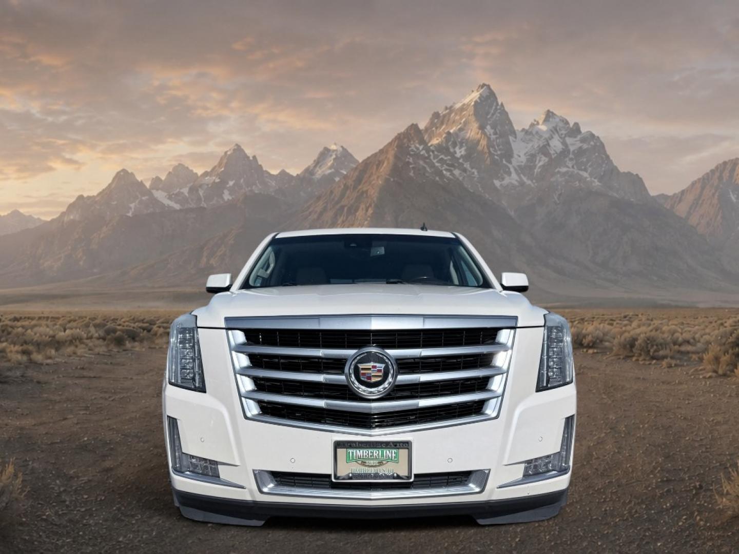 2015 White Diamond Tricoat /Jet Black Cadillac Escalade Luxury (1GYS4BKJ6FR) with an V8, 6.2L engine, 8-speed automatic transmission, located at 1175 N Woodruff Ave, Idaho Falls, ID, 83401, 43.506901, -111.999657- Photo#12